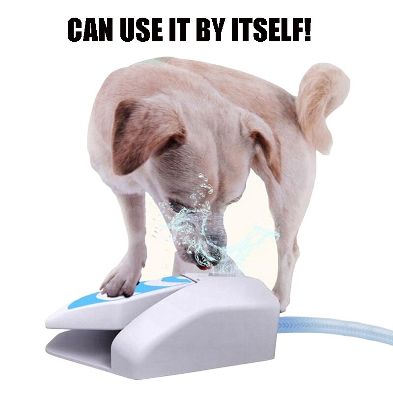 78579-23c491.jpg automatic outdoor dog water fountain